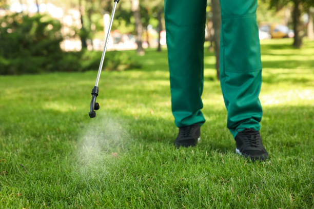 Best Pest Control for Homes  in Clarksville, TN