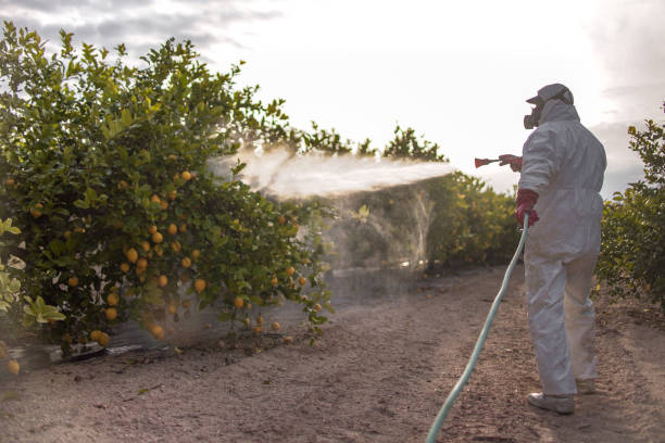 Best Local Pest Control Services  in Clarksville, TN