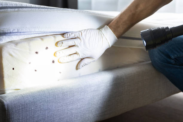 Best Best Pest Control Companies  in Clarksville, TN