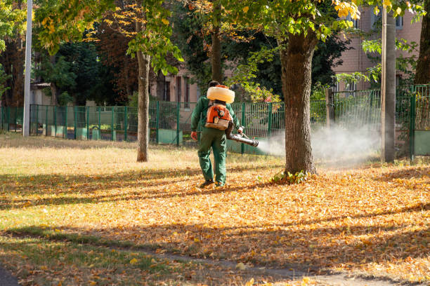 Best Best Pest Control Companies  in Clarksville, TN
