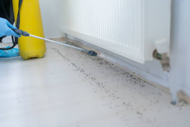 Best Termite Control Services  in Clarksville, TN