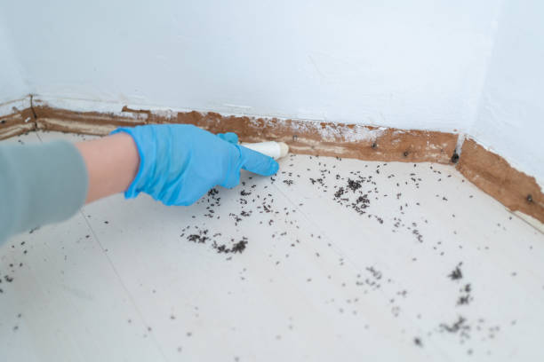 Best Bed Bug Extermination  in Clarksville, TN