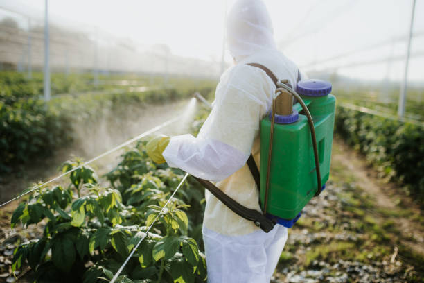 Pest Control for Restaurants in Clarksville, TN